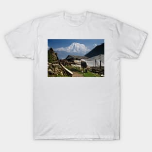 850_1657 T-Shirt